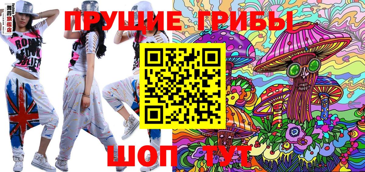 Галлюциногенные грибы Psilocybine cubensis Будённовск