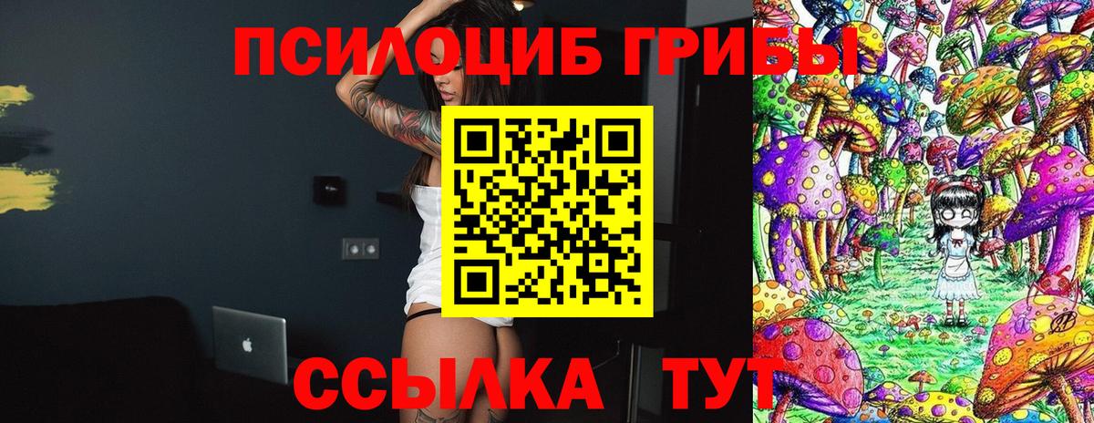 Псилоцибиновые грибы прущие грибы  Будённовск  Галлюциногенные грибы GOLDEN TEACHER 