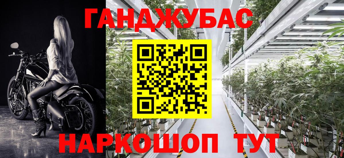 Каннабис гибрид Будённовск
